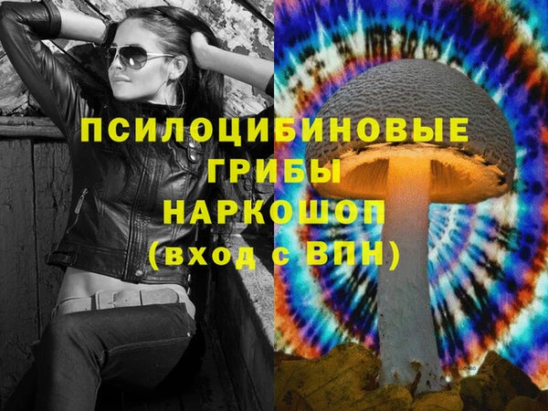 соль ск Заволжье