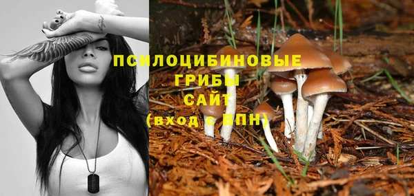 соль ск Заволжье