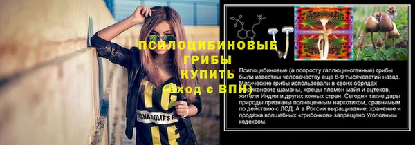 прущий лед Заводоуковск