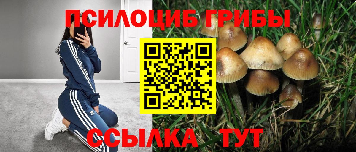 Галлюциногенные грибы мицелий Кумертау