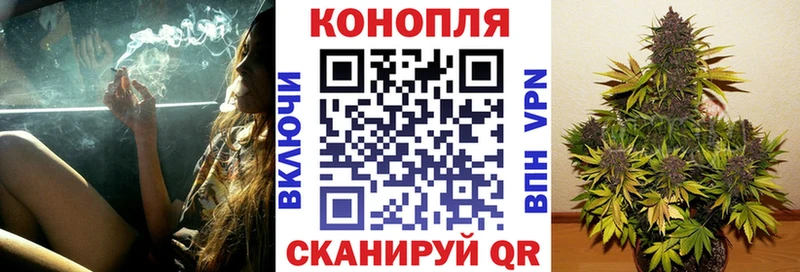 Купить закладки  Кумертау  Канабис VHQ 